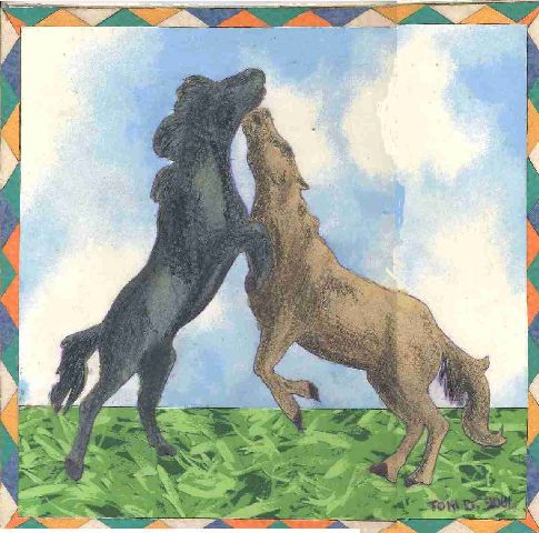 ANIMALI010