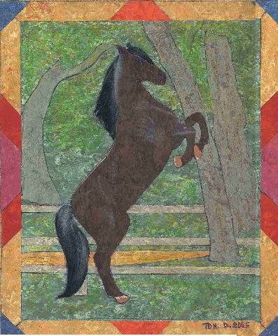 ANIMALI017