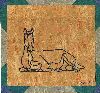 ANIMALI019