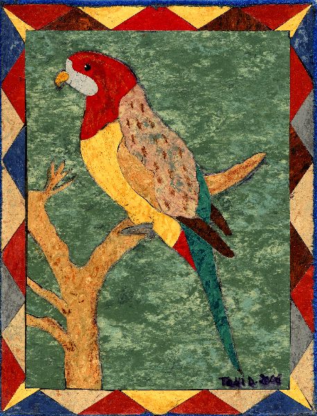 ANIMALI025