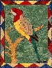 ANIMALI025