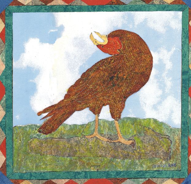 ANIMALI027