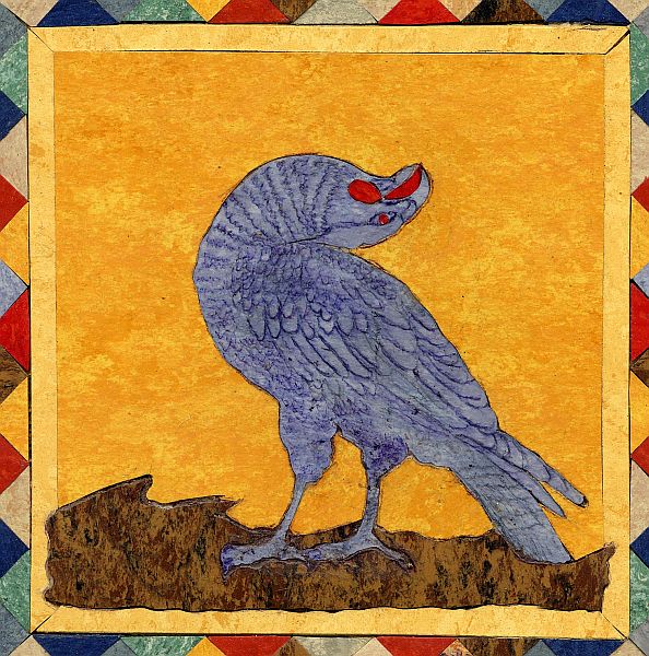 ANIMALI029