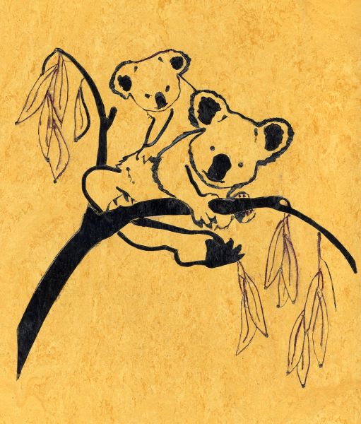 ANIMALI030