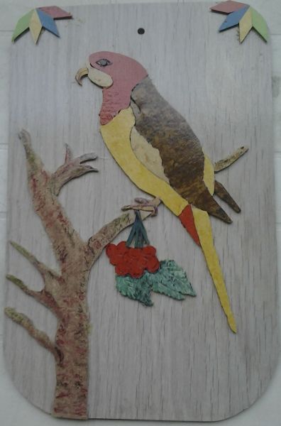 ANIMALI032